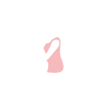 preconception preconception