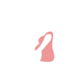 icon-pregnancy